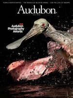 Audubon Magazine
